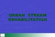 URBAN STREAM REHABILITATION. CASE STUDIES Contents: 1Approach 2Case studies 3Impacts of urban river rehabilitations 4Planning and implementation process