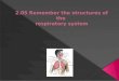 Essential question What are the structures of the respiratory system? 2.05 Remember the structures of the respiratory system 2