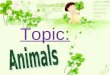 Topic:. Animal pictures A lot of animals koala [kə ʊ ' ɑː lə] I sleep 20 hours everyday, eat food 2 hours, and play games 2 hours. (*^__^*) 嘻嘻