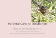 Parental Care IV: Incubation JodyLee Estrada Duek, Ph.D. With assistance from Dr. Gary Ritchison 