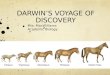 DARWIN’S VOYAGE OF DISCOVERY Mrs. MacWilliams Academic Biology