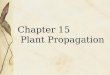 Chapter 15 Plant Propagation. Asexual Reproduction Cuttings Grafting Budding Layering Division Rhizomes Stolons Tillers or Suckers