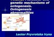 Theme: Molecular and genetic mechanisms of ontogenesis. Ontogenesis abnormalities Lector Pryvrotska Iryna