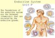Endocrine System Unit-P The foundations of the endocrine system are the hormones (chemicals) that are secreted by the endocrine glands