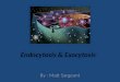 Endocytosis & Exocytosis By : Matt Sargeant. What is Endocytosis and Exocytosis? Endocytosis is a process by which cells absorb molecules (such as proteins)