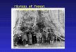 History of Forest Management in U.S.. Distribution of National Forest Lands - Diversity of Forest Types in U.S. - East to West, North to South