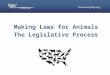 Making Laws for Animals The Legislative Process. Some situations require concrete changes in the law Legitimization of animal protection issues Media