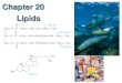 Chapter 20 Lipids. Lipids 3 major roles in biochemistry 3 major roles in biochemistry Store E within fat cells (vs plants – cellulose)Store E within fat
