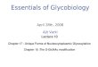 Essentials of Glycobiology April 28th, 2008 Ajit Varki Lecture 10 Chapter 17 : Unique Forms of Nucleocytoplasmic Glycosylation Chapter 18 :The O-GlcNAc