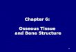 Chapter 6: Osseous Tissue and Bone Structure 1. The Skeletal System Skeletal system includes: –bones of the skeleton –cartilages, ligaments, and other