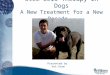 Stem Cell Therapy in Dogs A New Treatment for a New Decade Presented by Vet-Stem 6650-0019-002