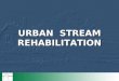 URBAN STREAM REHABILITATION. Social appraisal and Public Involvement
