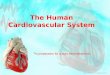 The Human Cardiovascular System * In preparation for a pig’s heart dissection Larry M. Frolich, Ph.D.,Human Anatomy