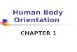 Human Body Orientation CHAPTER 1. Anatomy & Physiology Structure serves function Examples: Bone Lung Multi-tasking systems