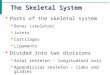 The Skeletal System  Parts of the skeletal system  Bones (skeleton)  Joints  Cartilages  Ligaments  Divided into two divisions  Axial skeleton –