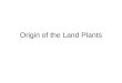 Origin of the Land Plants. Alternation of Generations
