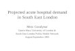 Projected acute hospital demand in South East London Meic Goodyear Queen Mary University of London & South East London Public Health Network August/September