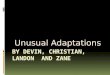 Unusual Adaptations Introduction This power point tells you many animal adaptations. Some of them include sleek bodies, skin between their arms and legs,