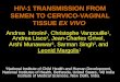 HIV-1 TRANSMISSION FROM SEMEN TO CERVICO-VAGINAL TISSUE EX VIVO Andrea Introini 1, Christophe Vanpouille 1, Andrea Lisco 1, Jean-Charles Grivel, Arshi