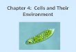 Chapter 4: Cells and Their Environment. The Fluid Mosaic Model of the Plasma Membrane