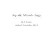 Aquatic Microbiology H.A.Foster revised November 2013