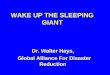 WAKE UP THE SLEEPING GIANT Dr. Walter Hays, Global Alliance For Disaster Reduction