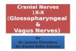 Cranial Nerves 1X-X (Glossopharyngeal & Vagus Nerves) By Dr. Jamela Elmedany Dr. Essam Eldin Salama By Dr. Jamela Elmedany Dr. Essam Eldin Salama