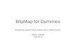 BlipMap for Dummies SOARING WEATHER FORECAST SIMPLIFIED Ramy Yanetz Feb 2013