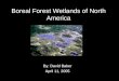 Boreal Forest Wetlands of North America By: David Baker April 11, 2005