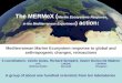The MERMeX ( Marine Ecosystems Response in the Mediterranean Experiment ) action: Mediterranean Marine Ecosystem response to global and anthropogenic changes,
