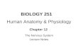 BIOLOGY 251 Human Anatomy & Physiology Chapter 12 The Nervous System Lecture Notes
