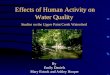 Effects of Human Activity on Water Quality Studies on the Upper Paint Creek Watershed By Emily Daniels Mary Estock and Ashley Hooper