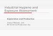 Industrial Hygiene and Exposure Assessment Exploration and Production Cheryl Metzler, CIH BP America Production Co
