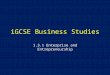 IGCSE Business Studies 1.3.1 Enterprise and Entrepreneurship
