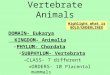 Vertebrate Animals DOMAIN- Eukarya KINGDOM- Animalia –PHYLUM- Chordata SUBPHYLUM- Vertebrata –CLASS- 7 different »ORDERS- 10 Placental mammals Highlight