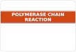 POLYMERASE CHAIN REACTION. DNA Structure DNA consists of two molecules that are arranged into a ladder-like structure called a Double Helix. A molecule