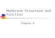Membrane Structure and Function Chapter 8 Fluid Mosiac Model