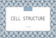 CELL STRUCTURE 7 th Grade. Do Now… ◦Define organelles, nucleus, chloroplasts, and mitochondria on index cards ◦Vocabulary Check will be tomorrow