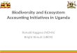 Biodiversity and Ecosystem Accounting Initiatives in Uganda Ronald Kaggwa (NEMA) Bright Kimuli (UBOS)