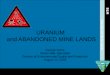 BLM Abandoned Mine Lands URANIUM and ABANDONED MINE LANDS George Stone Senior AML Specialist Division of Environmental Quality and Protection August 13,