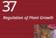 37 Regulation of Plant Growth. 37: Regulation of Plant Growth: Read IB Hormones ONLY!! 37.1 How Does Plant Development Proceed? 37.2 What Do Gibberellins