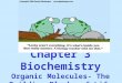 Chapter 3 Biochemistry Organic Molecules- The Building Blocks of Life