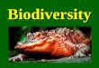 Biodiversity. What is Biodiversity? Biological Diversity or Biodiversity “The variety of life in all its forms, levels and combinations. Includes ecosystem