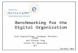 Benchmarking for the Digital Organization Erik Brynjolfsson, Xiaoquan (Michael) Zhang and Shinkyu Yang Center for eBusiness MIT November 2004