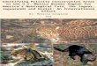Identifying Priority Conservation Areas in the U.S.- Mexico Border Region for America’s Neotropical Cats, the Jaguar, Jaguarundi and Ocelot: An International