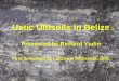 Ustic Ultisoils in Belize Presented by Richard Yudin First described by Lietzke & Whiteside, 1981