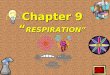 Chapter 9 “ RESPIRATION” What is the difference between respiration and breathing ?