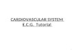 CARDIOVASCULAR SYSTEM E.C.G. Tutorial 1. Calculate Heart Rate. What is Axis ? 2 Normal ECG