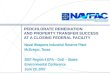 SOUTHEAST DIVISION PERCHLORATE REMEDIATION AND PROPERTY TRANSFER SUCCESS AT A CLOSING FEDERAL FACILITY Naval Weapons Industrial Reserve Plant McGregor,