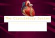 The Circulatory System Round and round we go!. Your Blood – Fluid Transport COMPONENTSCHARACTERISTICS Red Blood Cells-Transports O2 and some CO2 -Lack
